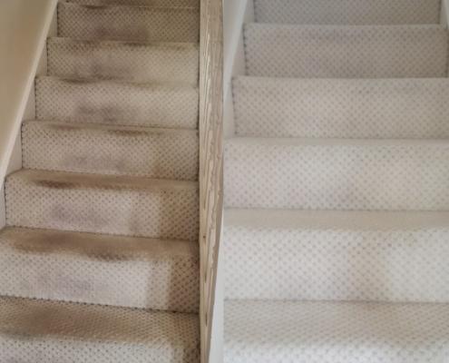 Stair carpet clean before and after