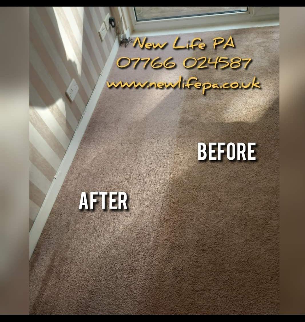Carpet Clean